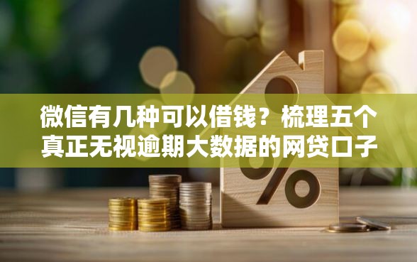 微信有几种可以借钱？梳理五个真正无视逾期大数据的网贷口子