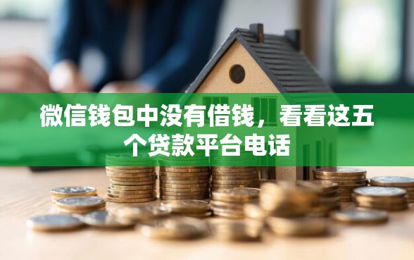 微信钱包中没有借钱，看看这五个贷款平台电话