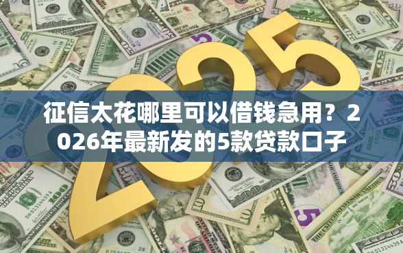 征信太花哪里可以借钱急用？2026年最新发的5款贷款口子