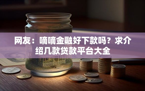 网友：嘀嘀金融好下款吗？求介绍几款贷款平台大全