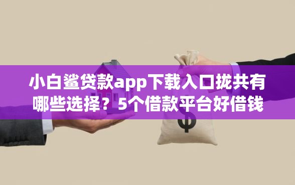 小白鲨贷款app下载入口拢共有哪些选择？5个借款平台好借钱又快详解