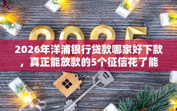 2026年洋浦银行贷款哪家好下款，真正能放款的5个征信花了能网贷的口子推荐