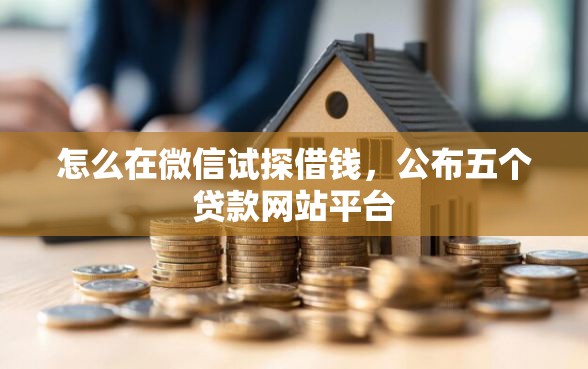 怎么在微信试探借钱，公布五个贷款网站平台