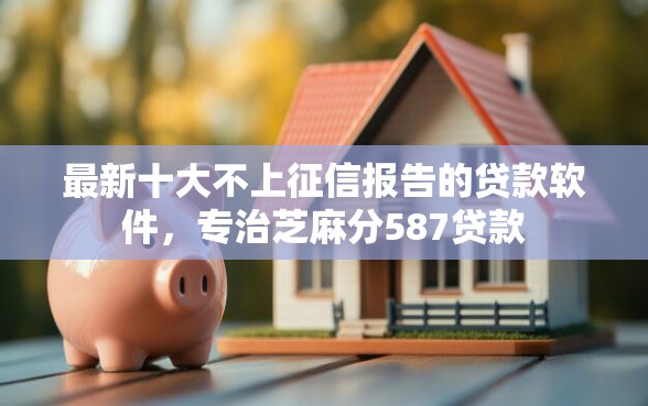 最新十大不上征信报告的贷款软件，专治芝麻分587贷款