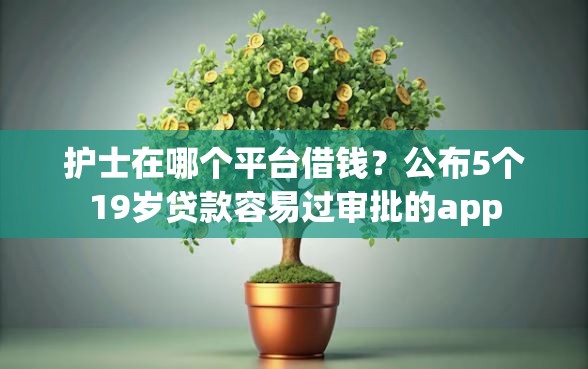 护士在哪个平台借钱？公布5个19岁贷款容易过审批的app