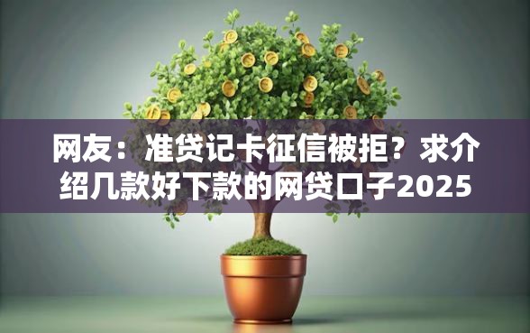 网友：准贷记卡征信被拒？求介绍几款好下款的网贷口子2025