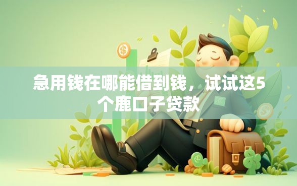 急用钱在哪能借到钱，试试这5个鹿口子贷款