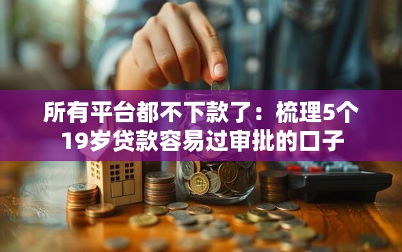 所有平台都不下款了：梳理5个19岁贷款容易过审批的口子