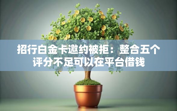 招行白金卡邀约被拒：整合五个评分不足可以在平台借钱