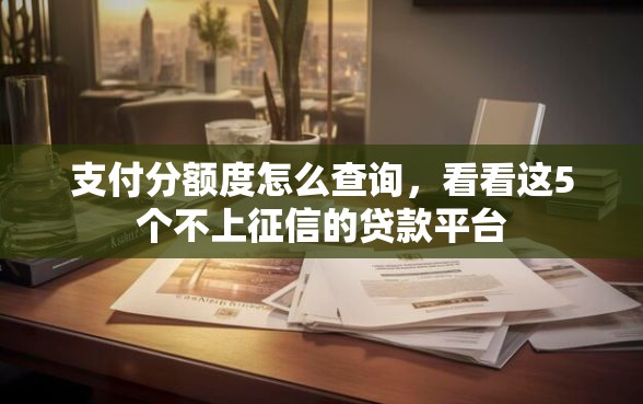 支付分额度怎么查询，看看这5个不上征信的贷款平台