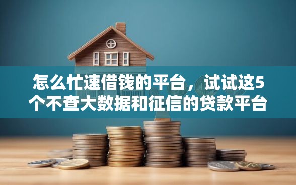 怎么忙速借钱的平台，试试这5个不查大数据和征信的贷款平台