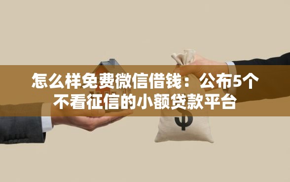怎么样免费微信借钱：公布5个不看征信的小额贷款平台