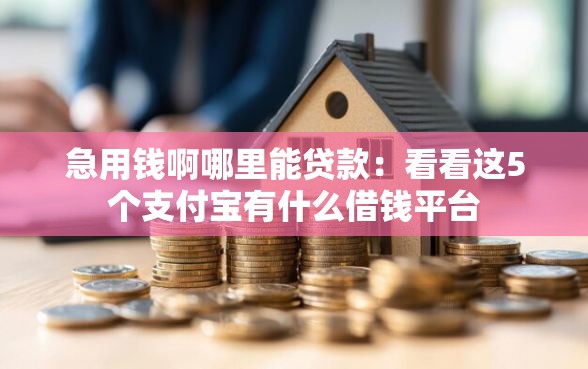 急用钱啊哪里能贷款：看看这5个支付宝有什么借钱平台
