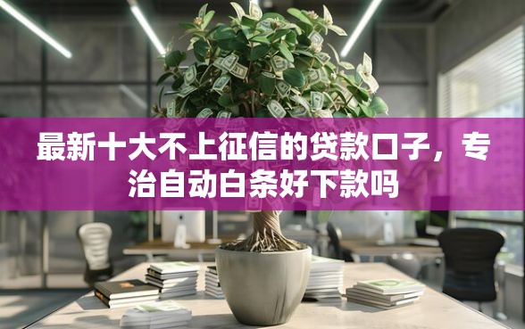 最新十大不上征信的贷款口子，专治自动白条好下款吗