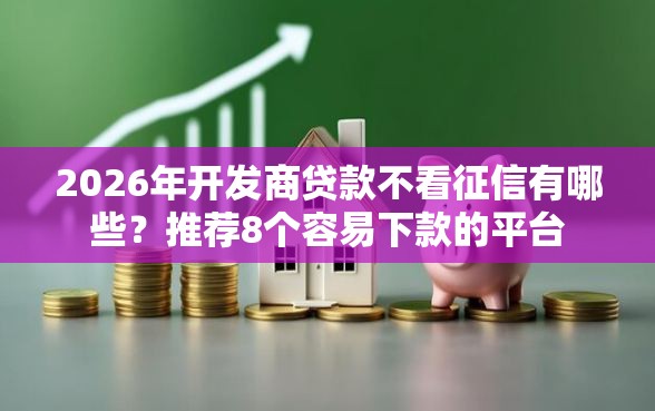 2026年开发商贷款不看征信有哪些？推荐8个容易下款的平台