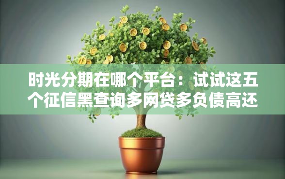 时光分期在哪个平台：试试这五个征信黑查询多网贷多负债高还能百分百下款平台