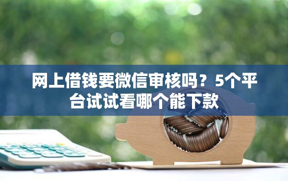 网上借钱要微信审核吗？5个平台试试看哪个能下款