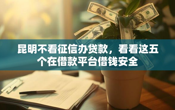 昆明不看征信办贷款，看看这五个在借款平台借钱安全