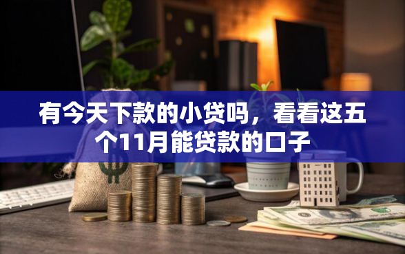 有今天下款的小贷吗，看看这五个11月能贷款的口子