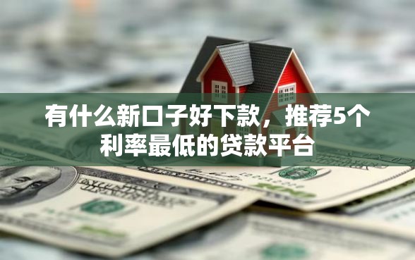 有什么新口子好下款，推荐5个利率最低的贷款平台