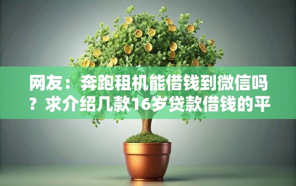 网友：奔跑租机能借钱到微信吗？求介绍几款16岁贷款借钱的平台