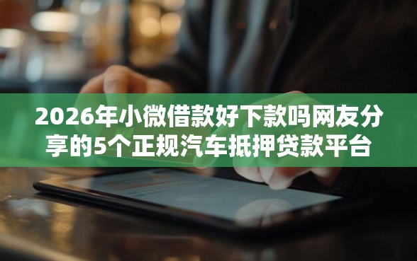 2026年小微借款好下款吗网友分享的5个正规汽车抵押贷款平台我觉得不错！
