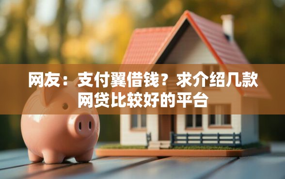 网友：支付翼借钱？求介绍几款网贷比较好的平台