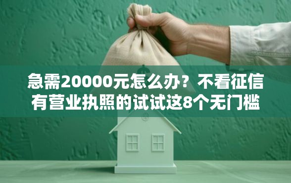 急需20000元怎么办？不看征信有营业执照的试试这8个无门槛平台