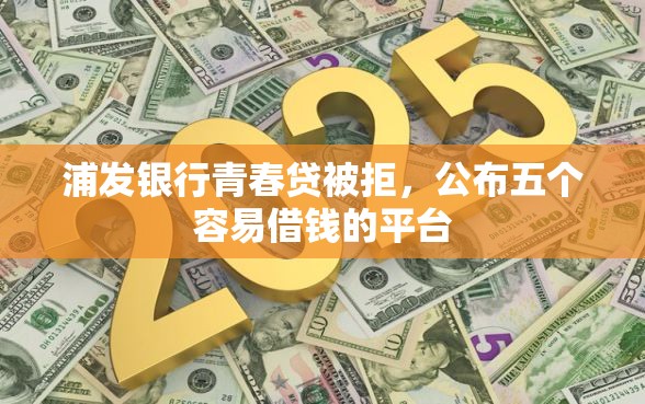 浦发银行青春贷被拒，公布五个容易借钱的平台
