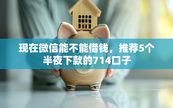 现在微信能不能借钱，推荐5个半夜下款的714口子