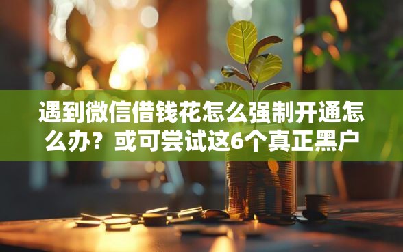遇到微信借钱花怎么强制开通怎么办？或可尝试这6个真正黑户能下款的网贷平台