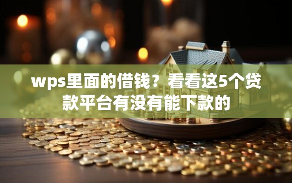 wps里面的借钱？看看这5个贷款平台有没有能下款的