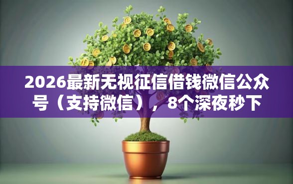 2026最新无视征信借钱微信公众号（支持微信），8个深夜秒下款的口子无私分享