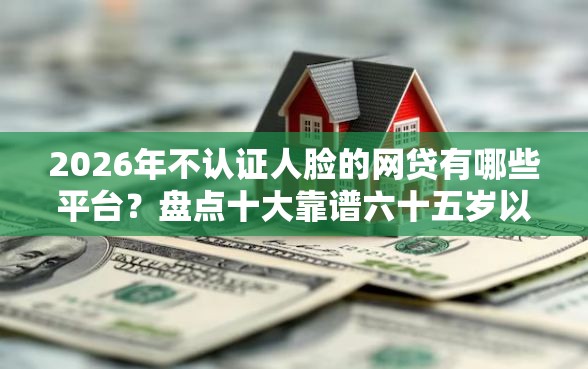 2026年不认证人脸的网贷有哪些平台？盘点十大靠谱六十五岁以上借款平台