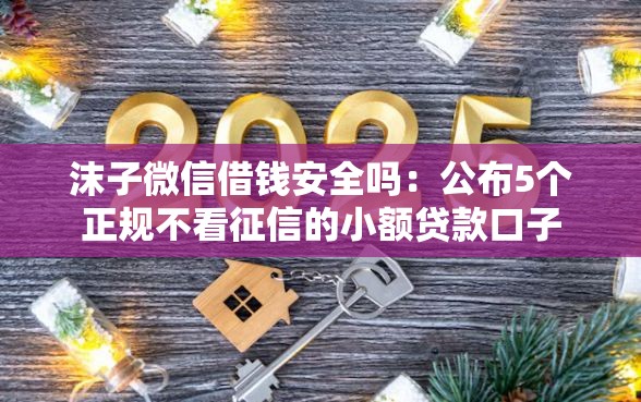 沫子微信借钱安全吗：公布5个正规不看征信的小额贷款口子