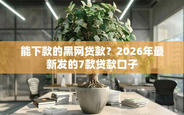 能下款的黑网贷款？2026年最新发的7款贷款口子