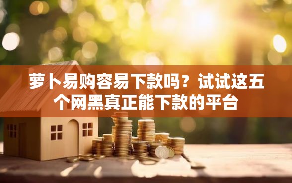 萝卜易购容易下款吗？试试这五个网黑真正能下款的平台