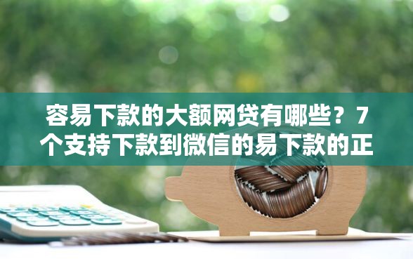 容易下款的大额网贷有哪些？7个支持下款到微信的易下款的正规平台