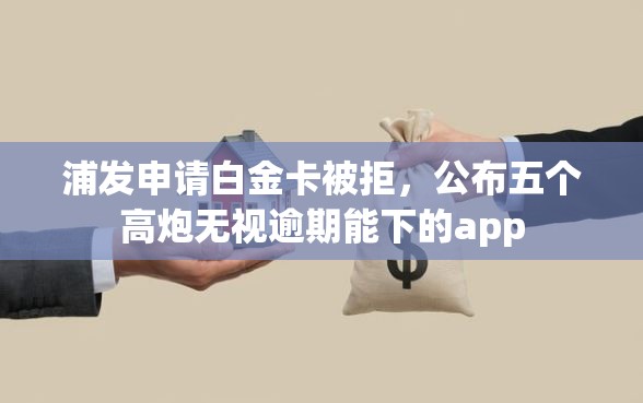 浦发申请白金卡被拒，公布五个高炮无视逾期能下的app