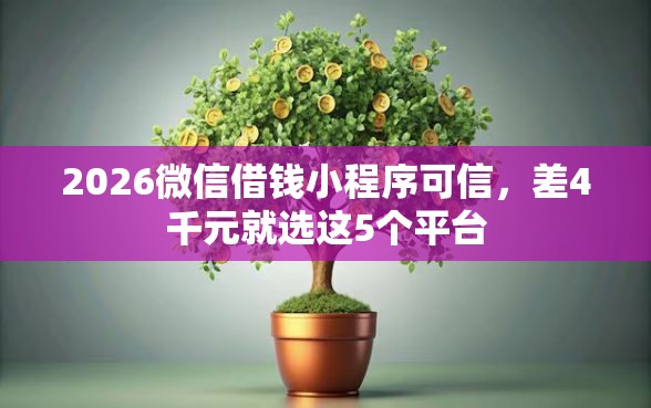 2026微信借钱小程序可信,差4千元就选这5个平台 2026微信借钱小程序可信,差4千元就选这5个平台