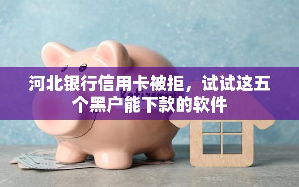 河北银行信用卡被拒，试试这五个黑户能下款的软件