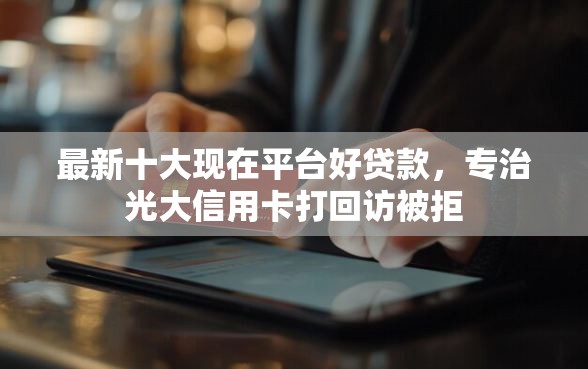 最新十大现在平台好贷款，专治光大信用卡打回访被拒