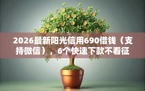 2026最新阳光信用690借钱（支持微信），6个快速下款不看征信的平台无私分享