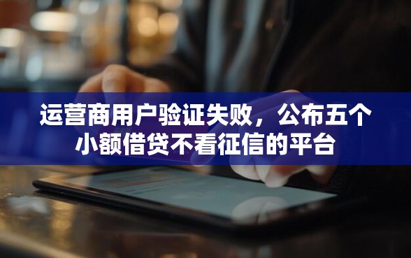 运营商用户验证失败，公布五个小额借贷不看征信的平台