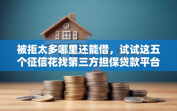 被拒太多哪里还能借,试试这五个征信花找第三方担保贷款平台 被拒太多哪里还能借,试试这五个征信花找第三方担保贷款平台