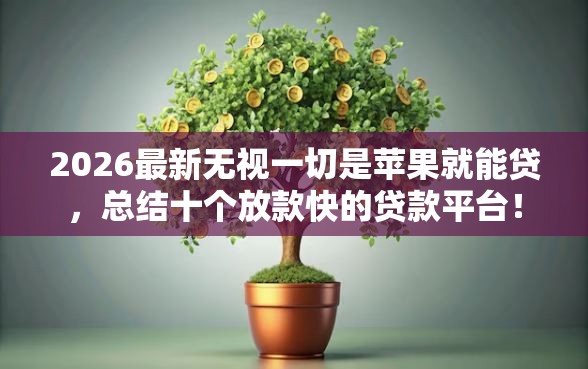 2026最新无视一切是苹果就能贷，总结十个放款快的贷款平台！