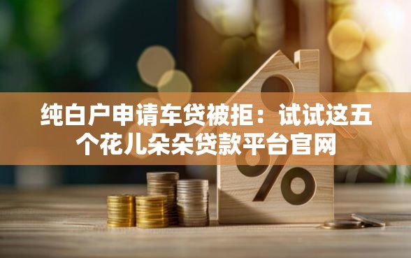 纯白户申请车贷被拒：试试这五个花儿朵朵贷款平台官网