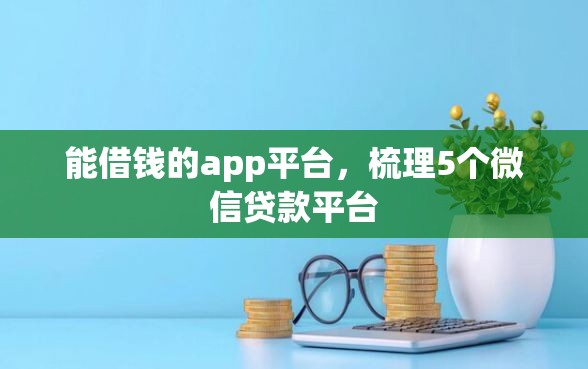 能借钱的app平台，梳理5个微信贷款平台