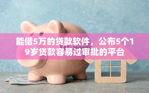 能借5万的贷款软件，公布5个19岁贷款容易过审批的平台