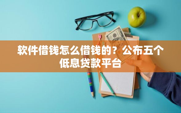软件借钱怎么借钱的？公布五个低息贷款平台